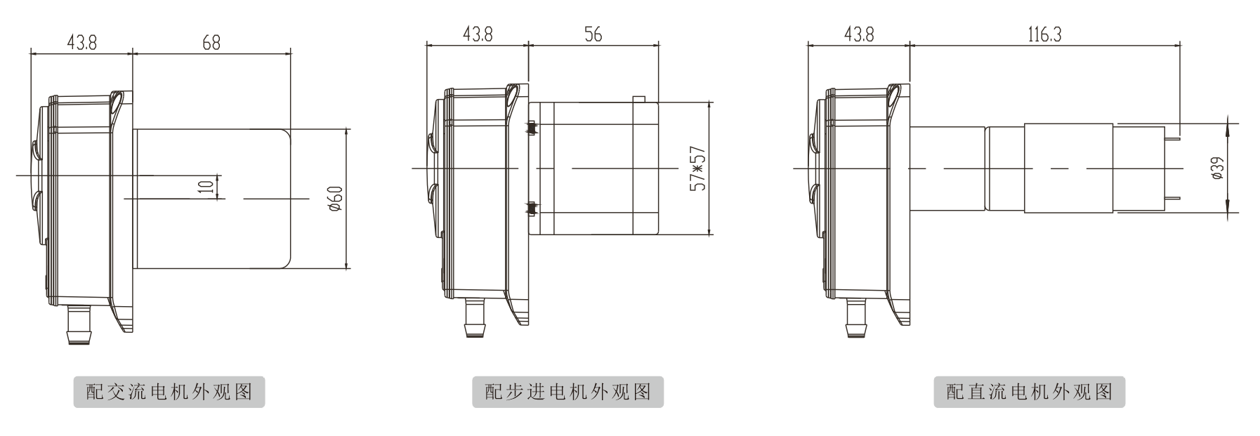 K25羞羞答答视频